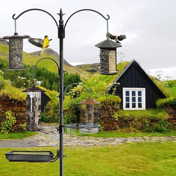 FAIRE - Blue Sky Clayworks Bird Feeders Premium Bird Feeding Station Kit